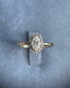 Anel Halo