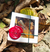 Box Germinar: Um perfume para alma