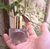 BOX FRUTIFICAR: Magia de Borboleta - Naturalisses