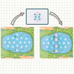Juego de pesca cuentas y magnético - Eco Valendrina