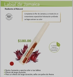 Labial de Jamaica . Karol