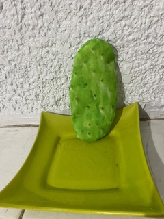 Monedero Nopal