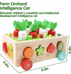 JUGUETE DIDACTICO. Juego de cosecha de zanahorias en internet
