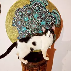 Mandala 60 Cm Pirogravada E Pintada a mão. - Mama Gipsy