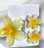 Kit presilha de Flor 1 grande e 2 pequenas - comprar online