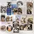Sticker de vinil pets