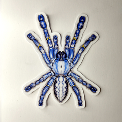 Aranhas - Adesivos Kit nº1 - lucaskias