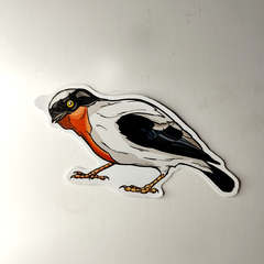 Aves - Adesivos Kit nº1 na internet