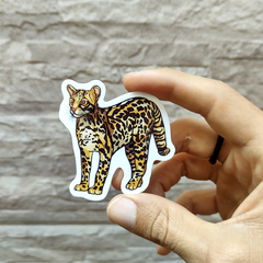 Imagem do Felinos - Adesivos Kit nº1