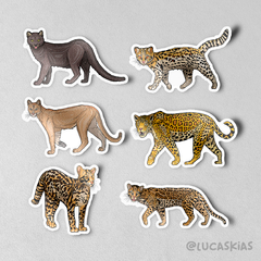 Felinos - Adesivos Kit nº1