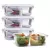 KIT 4 Potes de Vidro Retangular com Divisória e Tampa Hermética 640ml