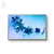 GLICINAS - comprar online