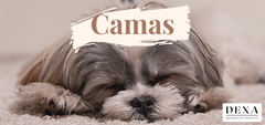 Banner de la categoría Camas