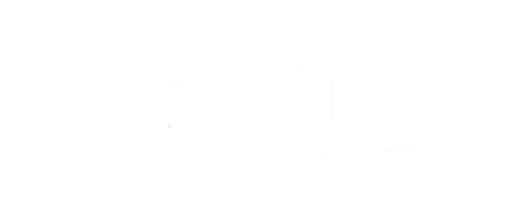 Fiz