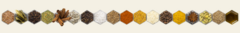 Banner de la categoría Especias