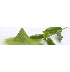 Matcha en Polvo - CareKare