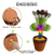 Cactus Bailarin Recargable - comprar online
