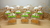 Caixinhas Acrílicas Ovelhinha - fazendinha - comprar online
