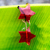 Banner rotativo 2