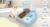 PetBalance – Comida e Água na Medida Certa - loja online