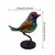 Aves de Acrílico Para Decoração - comprar online