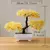 Árvore Bonsai de Charme: Decoração Sofisticada na internet