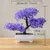 Imagem do Árvore Bonsai de Charme: Decoração Sofisticada