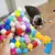 InterativoPet Completo - loja online
