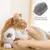 Escova Inteligente para Pets