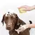 Luvas Massageadora para Cães e Gatos - Universo Storebh|Frete Grátis para Todo Brasil
