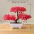 Árvore Bonsai de Charme: Decoração Sofisticada - Universo Storebh|Frete Grátis para Todo Brasil