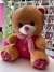 URSO TAMANHO P - 04