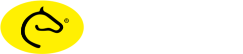 Camaquense