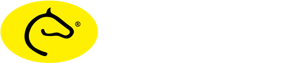 Camaquense