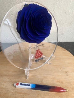 Placa com rosa difisora - NK Resinas