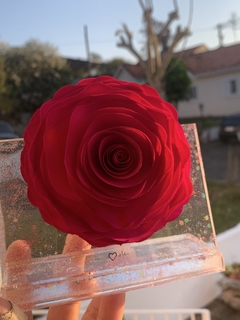 Plaquinha Rosa Difusora na internet