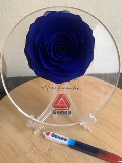 Placa com rosa difisora
