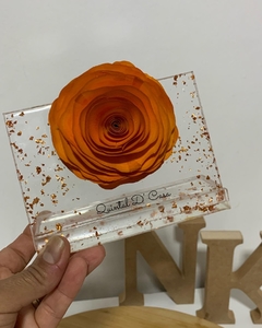 Imagem do Plaquinha Rosa Difusora
