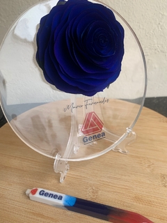 Placa com rosa difisora - comprar online