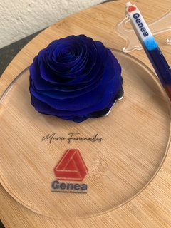 Imagem do Placa com rosa difisora