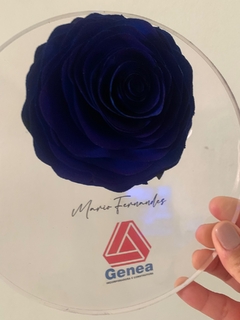 Placa com rosa difisora
