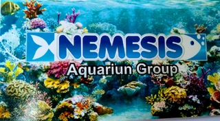 Nemesis Com e Serviços