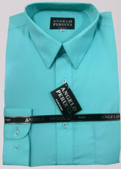 Camisa Angelo Perucci en internet