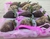 Fresas Cubiertas con Chocolate (12 pz) - La Vie Douce