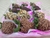Fresas Cubiertas con Chocolate (12 pz) - comprar en línea