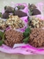 Fresas Cubiertas con Chocolate (12 pz) - tienda en línea