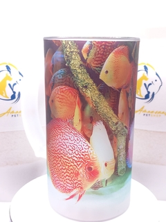 Tarro alusivo a peces y plecos. Discus Río Amazon
