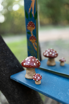 Imagem do Espelho Amanita