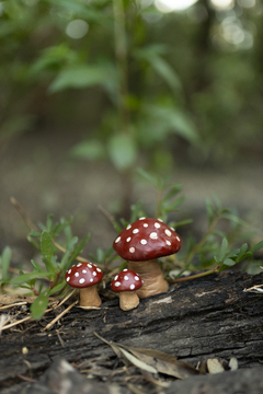 Espelho Amanita - comprar online