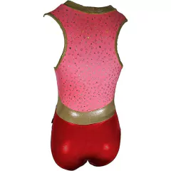 Leotardo Gimnasia niña, Modelo 17240-45 - Leotardo Holograma y Glitter con corte en Pico y cuello glitter oro - online store